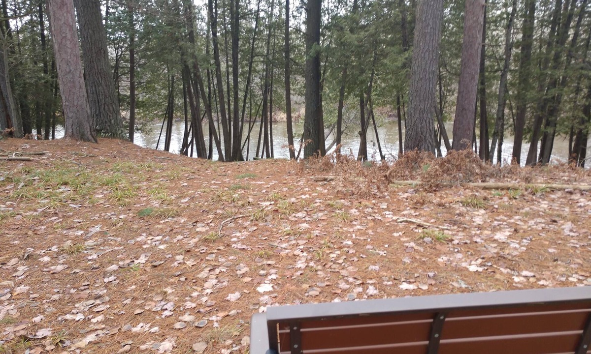 Lupton House | Beautiful 3 bedroom home on Rifle River