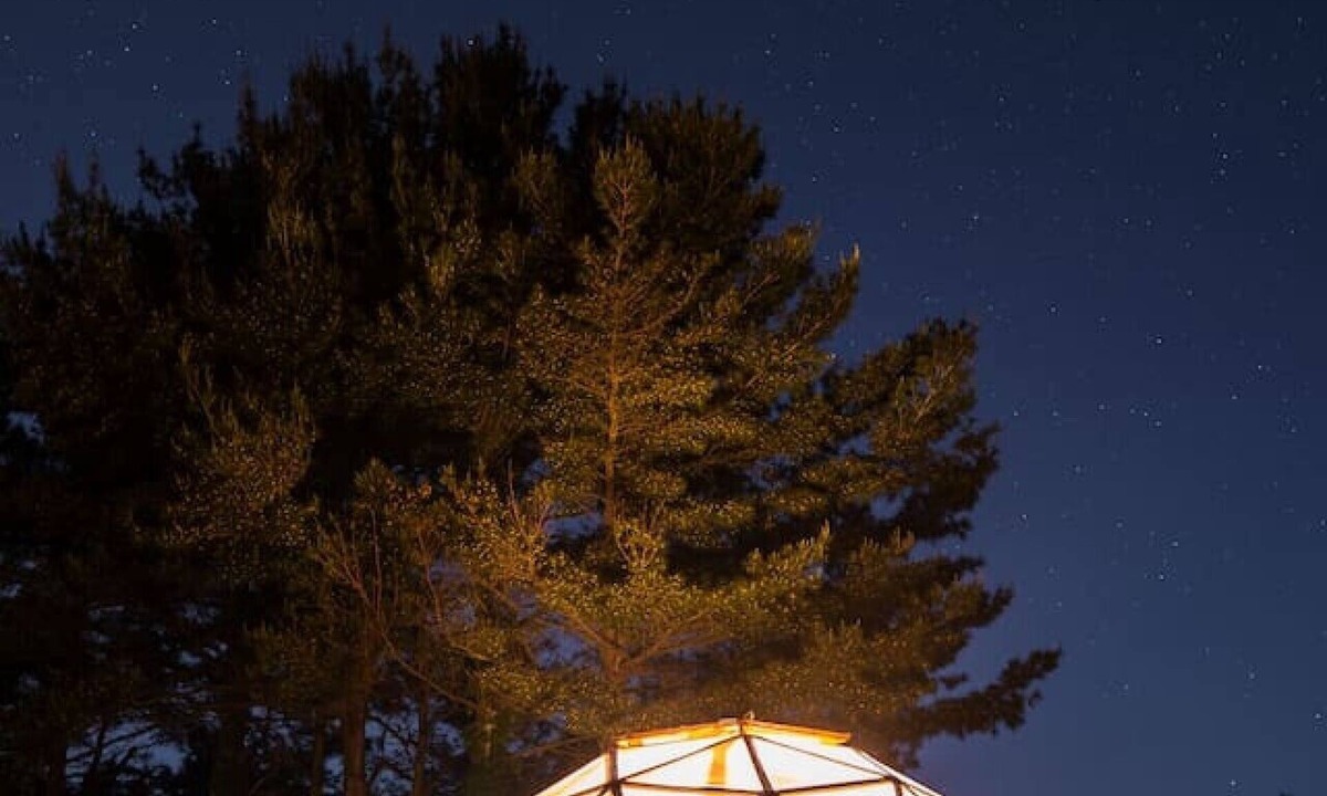 South Haven Cabin | Ember Nest/Pet Friendly/Private Hot Tub/Near Beach