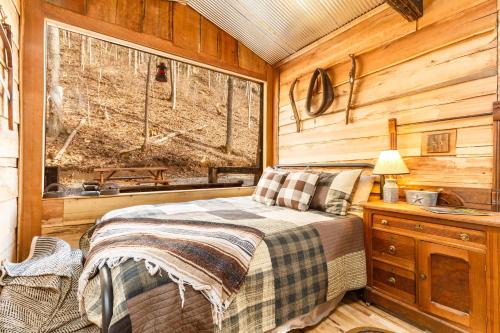 Lynx Other | Ohio Starlight Glamping Cabins - A Peaceful Woodland Retreat