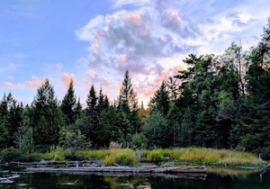 Finley's Riverside Cabins | Cabin # C in Grayling
