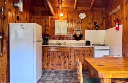 Trout Lake Cabin | Adorable Cabin #4 at Twin Cedars Resort in Trout Lake, MI with row boat and AC