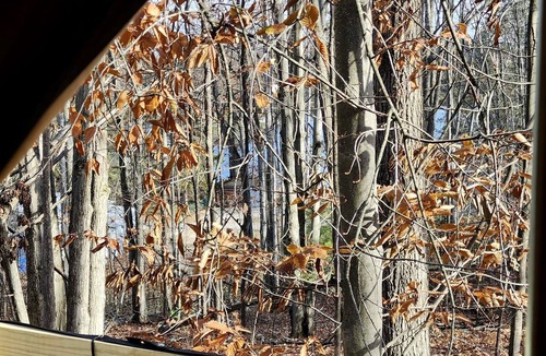 Mio RV Rental | Cozy Bell Tent Glamping on Private Fenced Deck with Bathhouse Firepit WiFi and Trails in Mio, Michigan