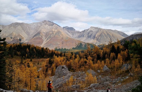 Canmore Cabin | Light&Bright Rocky Getaway/KingBed/Parking/Gym
