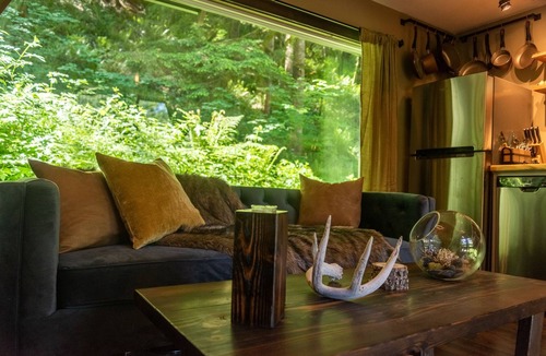 Zigzag Cabin | Little House On The Mountain-ZigZag Mountain View