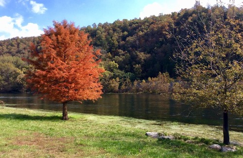 Flippin House | LOWEST FALL RATES ON THE WHITE RIVER! AMAZING FLY & SPIN FISHING IN BACKYARD!