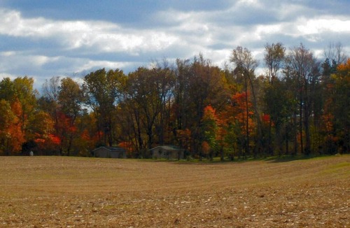 Marcellus Cabin | Rest & Relaxation