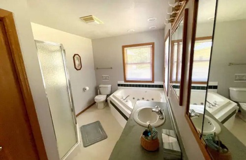 Mosinee House | Secluded 3BR, 2BA ,¼ Mile Off Road , Starry Skies & Wildlife Views