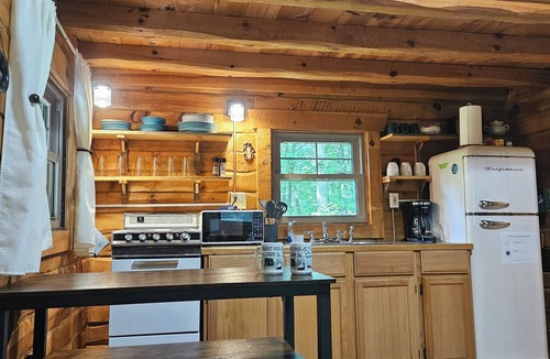 Park Rapids Cabin | Secluded Shipman Lake Cabin Fire Pit