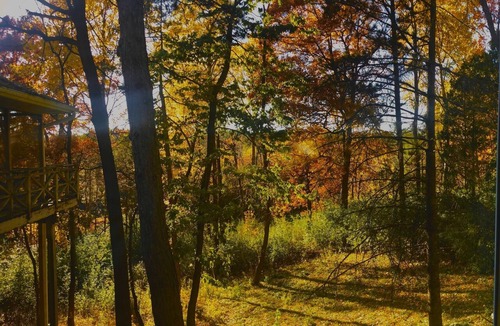 Minnetonka House | Sherwood Treehouse Vacation Rental