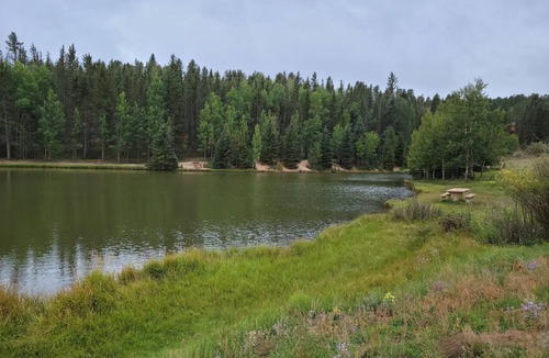 Spring Valley Cabin | Spacious Comfortable Cabin