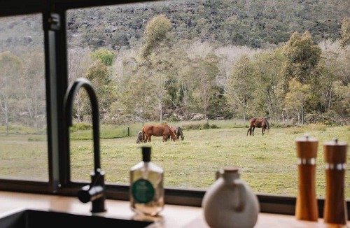 Upper Colo Cabin | Tiny Thomas Summary: