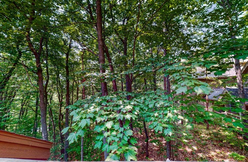 Maple City Condo | Upper-level condo with forest views, fireplace, soaking tub & high-speed WiFi