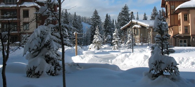 1BR Executive Suite in Solitude Village - 300 steps to chairlifts - upgraded in Solitude