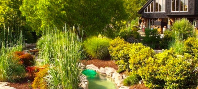 2 Bedroom @ Lodge at Wilderness Club, Big Cedar! in Ridgedale