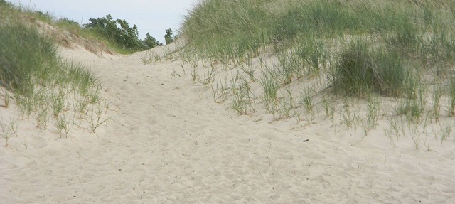 Airy and bright, Cottage Blue Welcomes You! in Michigan City