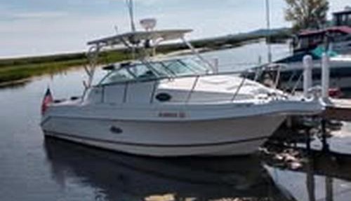 AuGres Walleye Assassin Charters in Au Gres