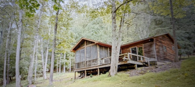 Backyard creek, screened porch in Needmore