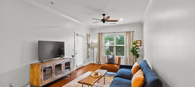 Beautiful Apartment Steps from Downtown Auburn - Pool! in Auburn