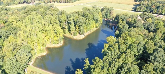 Beautiful, cozy, lakeside wooded getaway in serene surroundings. in Osgood
