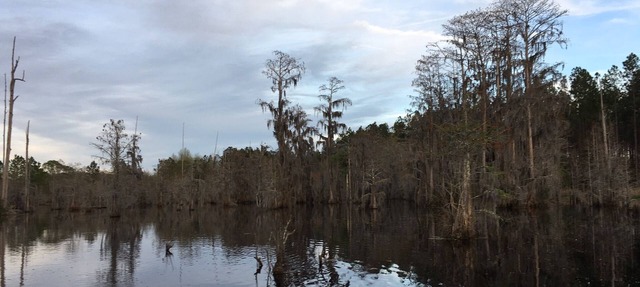 Blackshear Cabin on the Pond in Blackshear