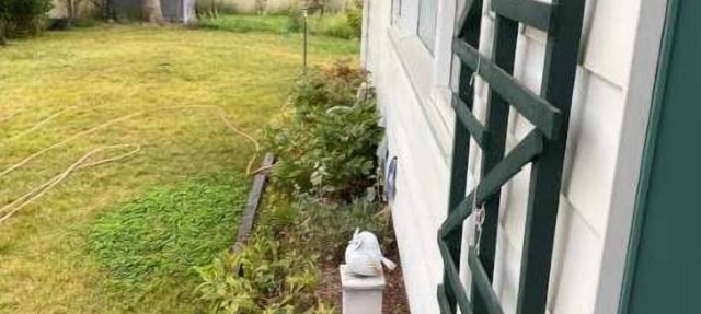 Charming 2 bedroom home.🏔 in Cranbrook