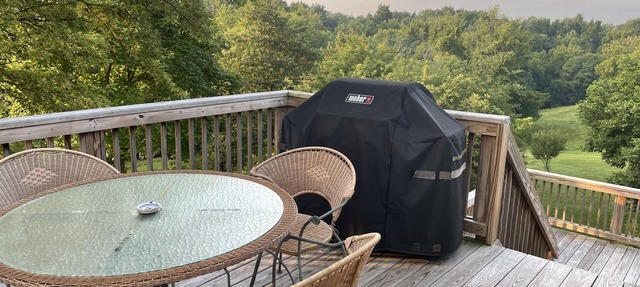 Charming studio apartment 30 min from the Ark Encounter in Union