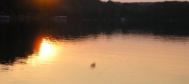 Cottage in Crystal Lake in Hart