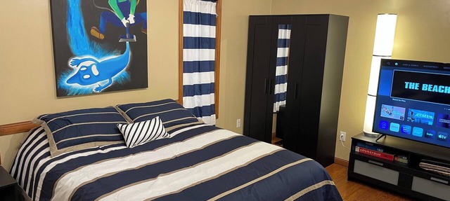 Cozy 1-bedroom studio apartment in pleasant McLean with AC, arcade game, huge TV in McLean