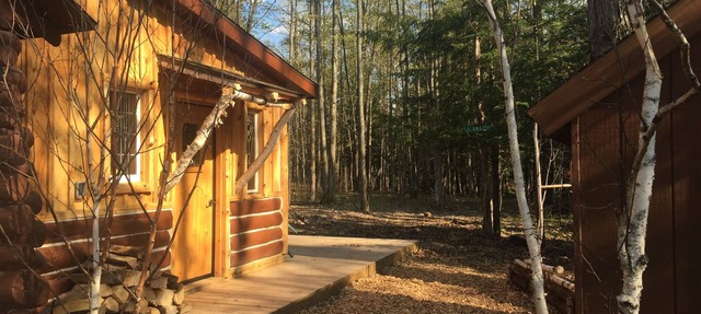 Cozy Family and Pet-Friendly Cabin Near Fife Lake, 5-minute drive. Camp fire in Fife Lake