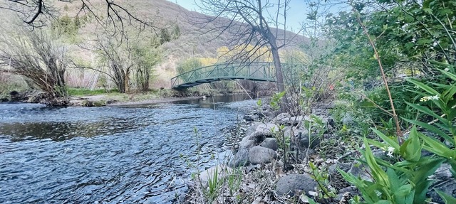 Cozy Mountain Cabin on the River in Provo