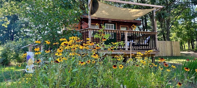 Cozy, quiet and comfortable real log cabin close to all the up north fun! in Beulah