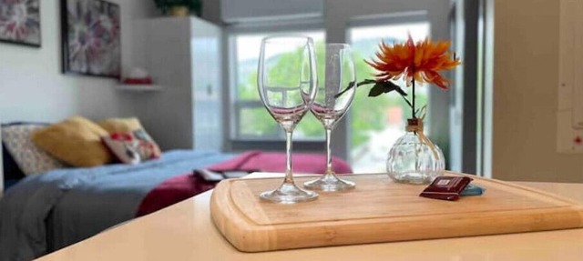 Cute n Cozy Luxury Suite and Okanagan Lake front access in Vernon