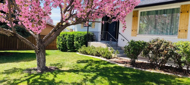 Enjoy Artisan Bread ❤️ Quiet Rambler + Historic Park, Firepit, Pets, 2 Car Garage in Orem