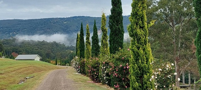 Highfields Country Cottages Valley View Sleeps 2 couples 1 Bedroom & QSofa in Kurrajong