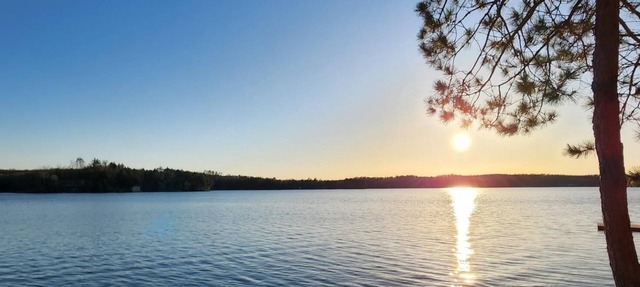 Lakefront Cottage on Beautiful Wheeler Lake in Lakewood FAMILY FRIENDLY! in Lakewood