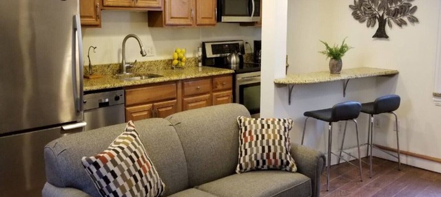 Location, Location! Downtown Luxury 1 Bedroom Apt in Ann Arbor