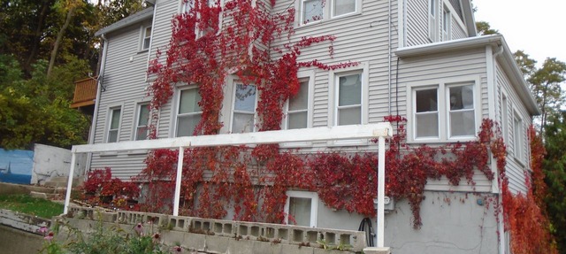 Lower flat steps from the lake and downtown in Port Washington
