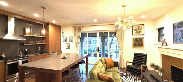 Lux New Hyde Park Apt by U Chicago, Museum of Science & Industry w/Peloton in Chicago