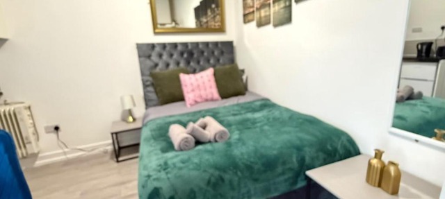 Mint Studio Flat in London