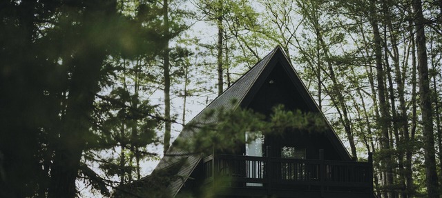 Modern A Frame cabin - on beautiful Fawn Lake! in Gaylord