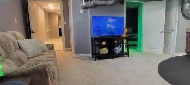 !Oceana! Entire King 3 BR lower level at MicroLux in Royal Oak