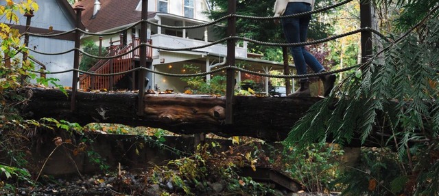 Olympic Wanderer Creekside~ Hot-tub Olympic Peninsula Nature Retreat in Brinnon
