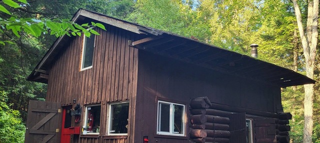 Peaceful Cabin in the Woods walking distance to hike, swim, canoe & fish in Baysville