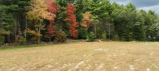 Perfect for a Quick Escape! 2 Spacious Units w/FREE Breakfast and Parking! in Foxborough
