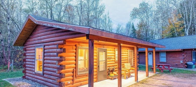 Perfect for Couples, Pet Friendly, Bear Theme, Log Cabin, Fireplace in Mountain