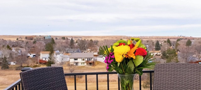 Pet-friendly 2b2b, beautiful views near Boulder in Westminster