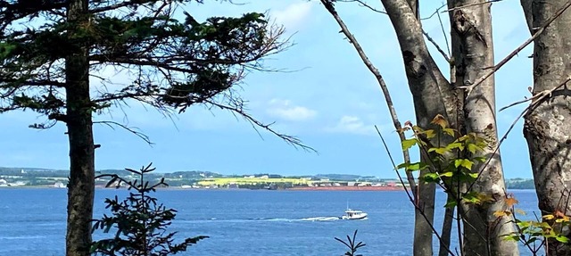 Private, Ocean View Cottage, 5 Mins - Cavendish, large deck, A/C, Wifi, Sleeps 6 in Breadalbane