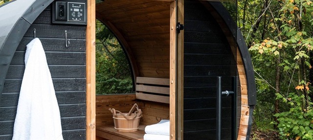 Private Sauna + Fireplace · Wildernest Cabins #3 in Duluth