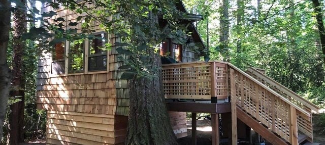 Private tiny forest cabin near Portland and local wineries. in Beaverton