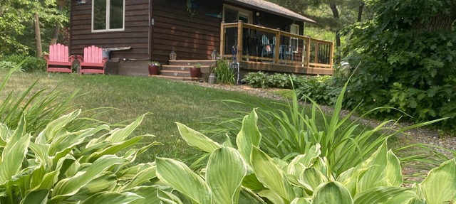 Quaint seclusion, steps from the backwaters of the Mississippi. in Hager City